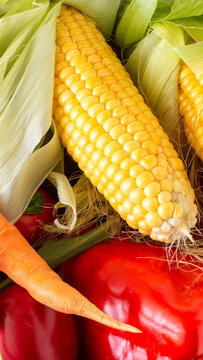 Fresh vibrant vegetables, bright yellow corn cob partially peeled green husks, delicate golden silk, orange carrot, shiny red bell pepper, close up vertical photo.