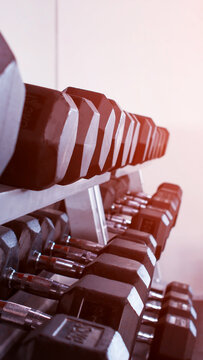 Row of black hexagonal dumbbells on metal rack in fitness gym facility, equipment for strength training and weightlifting, indoor workout space, bright background light, vertical photo