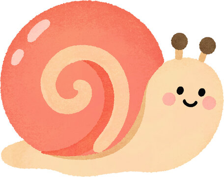 Cute sea snail with a coral spiral shell