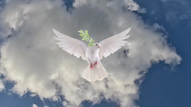 White dove  with olive branch in blue cloudy sky. Animated cinemagraph, parallax animation, based on an original photograph.