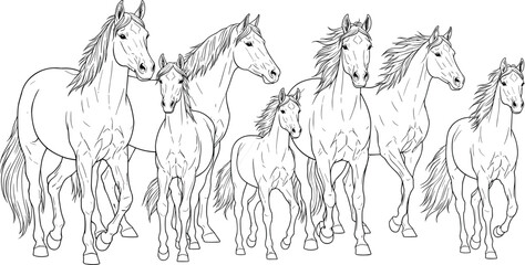 Horse line art illustration, walking standing foals, detailed muscle structure, mane tail movement, graceful animal vector artwork © Fenshi
