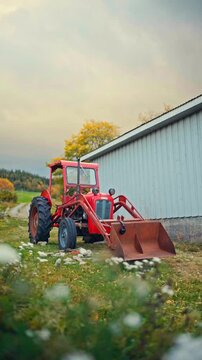 Vertical View Of Red Massey Ferguson 35 Tractor With Front Loader Bucket Is Parked In An Outdoor Rural Background. Static Shot