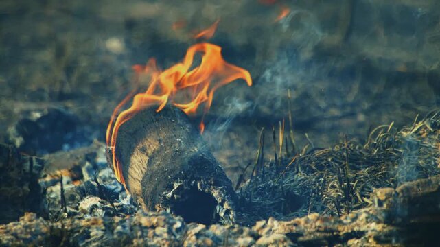 Close-up of a smoldering log burning on the forest floor in the southern Amazon rainforest, documenting the persistence of wildfires and the environmental impacts of prolonged drought and forest degra