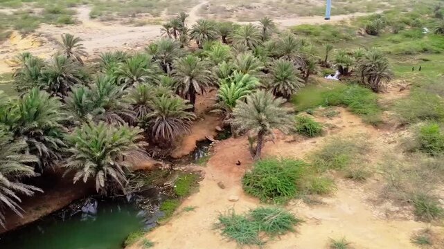 Cinematic Drone Shot of Chota Noorani Coastal Landscape Near Dhabeji