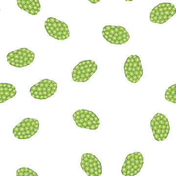 pattern noni fruit illustration highlighting its segmented green skin with pale circular spots, tropical botanical vector ideal for health, wellness, natural remedies, nutrition and skincare designs
