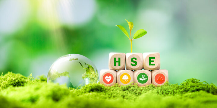 HSE Sustainability Concept with Globe and Green Plant for Health Safety and Environment Management