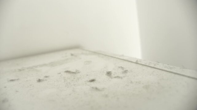 Dust And Dirt Accumulated On A White Indoor Surface. Close-up Shot