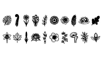 Fototapeta premium Flowers and Plants in Black and White Botanical Illustrations Featuring Flower, Plant, Illustration with Nature and Leaf Elements