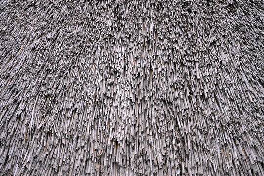 Detailed Thatched Roof Surface Pattern