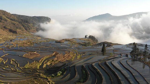Panoramic drone flight of beautiful rice terraces in Yuanyang, China