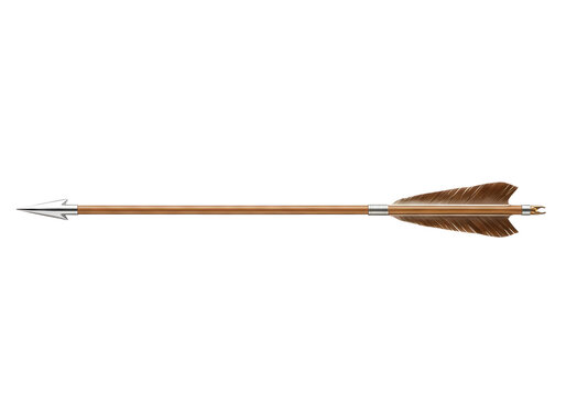 Traditional wooden arrow with feather fletching isolated on white background