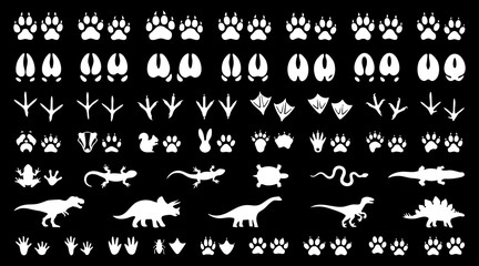 Animal footprints and dinosaur silhouettes. Wildlife tracks collection on black background. © Fahmi