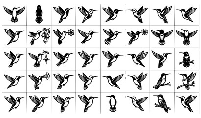 Fototapeta premium 30 Black and White Hummingbird Outline Vector Collection Isolated on White Background
