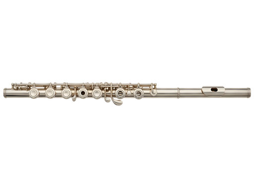 Professional flute instrument isolated on white background
