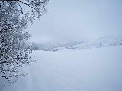 Beautiful snowy winter landscape with snowcovered trees and rolling hills under heavy snowfall