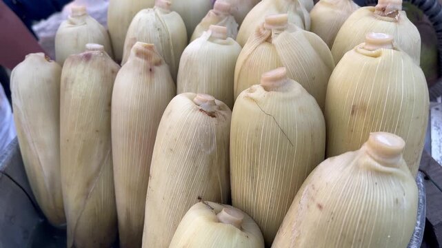 Freshly boiled sweet corn with husks close up