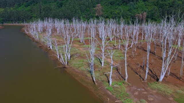 Aerial drone view of the landscape in the Rub&iacute;n Marshes in San Vicente de la Barquera. Oyambre Natural Park. Cantabrian Sea. Cantabria. Spain. Europe