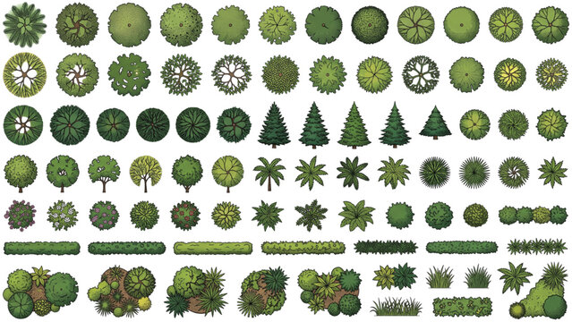 Top View Trees and Plants CAD Block Pack for AutoCAD Architectural Landscape Plans and Garden Design