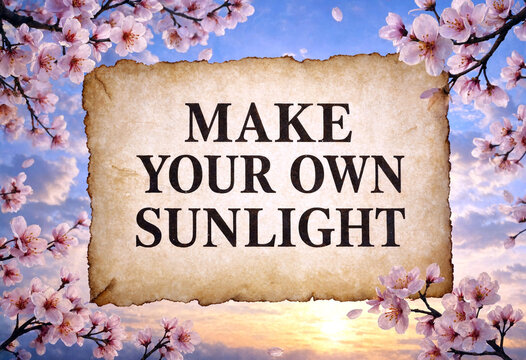 Beautiful motivational quote about making your own sunlight surrounded by blooming flowers and sunset sky