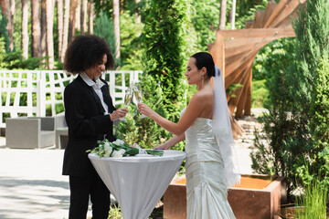 Fototapeta premium Young couple toasts to love outdoors under the sunny sky