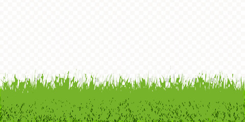 Green Grass Border With Transparent Background Vector Illustration © pallab