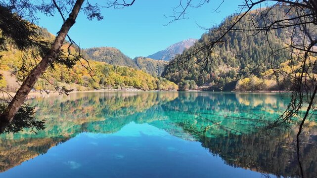 Scenery Jiuzhaigou national park in Sichuan, China. Beautiful Five Flower Lake in Autumn season. Famous Landmark and Vacation near Chengdu, China. Asia travel concept