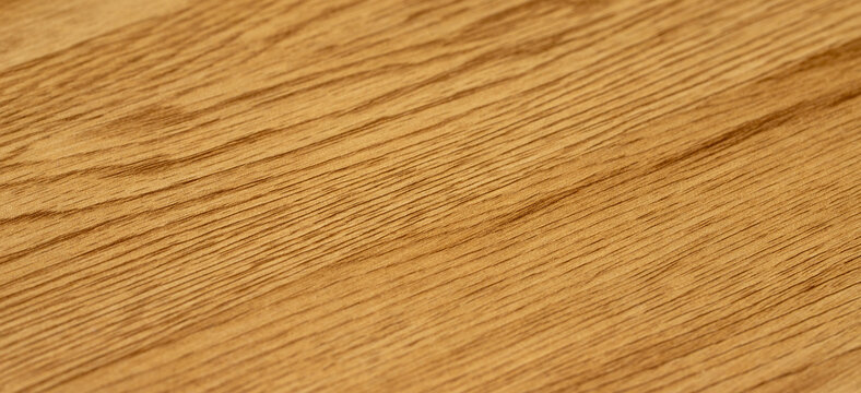 Natural light oak wood surface texture background with prominent linear grain