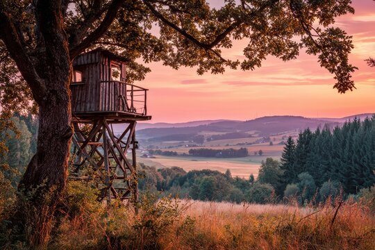 Golden hour view from a wooden hunting stand toward a meadow and woods