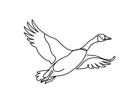 Single line drawing of a goose in flight