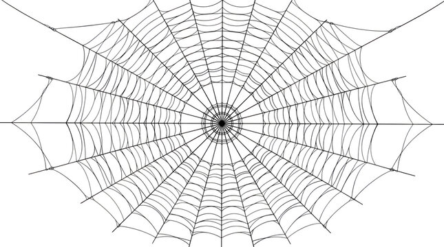 Detailed spider web asset with halloween,, transparent as PNG cutout