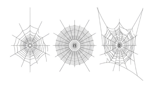 Set of three detailed spider web silhouettes as isolated object