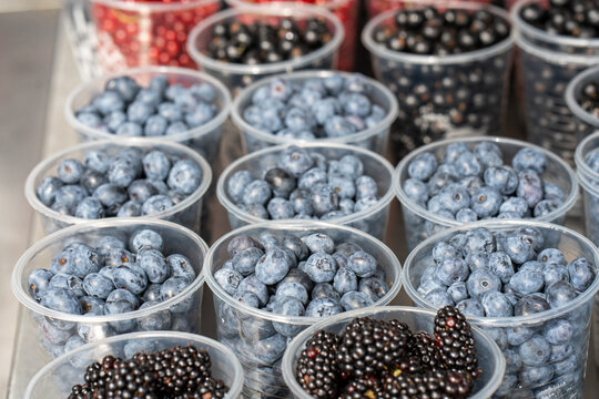 Blueberries on a market stall. Blueberries in trays are sold at the market.