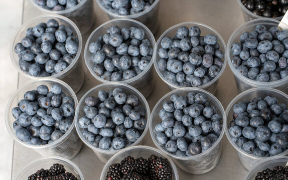 Blueberries on a market stall. Blueberries in trays are sold at the market.