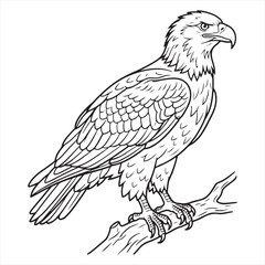 Fototapeta premium Majestic eagle on branch coloring page detailed line art vector illustration of powerful bird prey in natural habitat for kids and adults creative hobby and wildlife education activities.