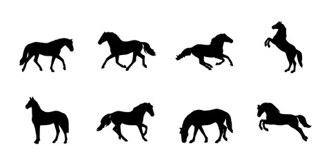 Obraz premium Horses in Various Poses and Actions, Black Silhouettes on White Background Featuring Horse, Silhouette, Animal with Equine