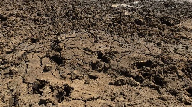 Dry landscape in tropical arid ecosystem in Yala National Park and mud lake due to prevailing drought impact of climate change