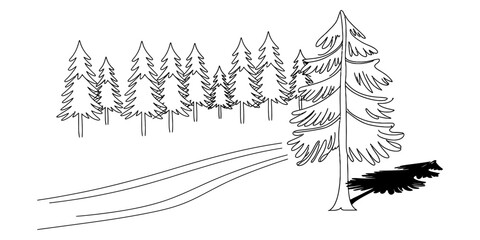 A simple black and white line drawing of a path leading through a pine forest with a large tree in the foreground and a cast shadow Vector, illustration © KDP Publisher