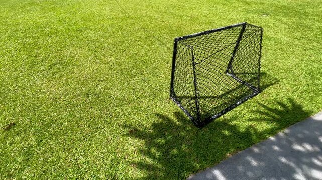 Mini soccer goal net on green grass field