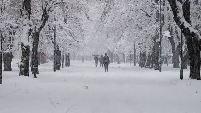 People Walking Through Snowfall on a Winter Day in Sarajevo, Bosnia and Herzegovina
