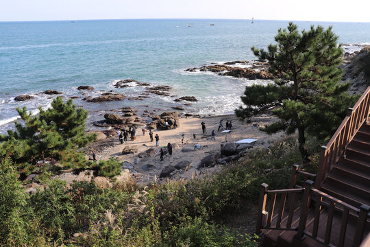 海で撮影をする人々