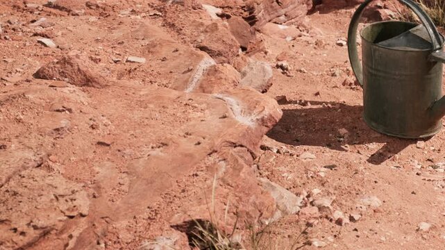 Work is happening at an excavation site where fossils are found in the dirt. A watering can is placed nearby to assist with the process of uncovering these fossils.