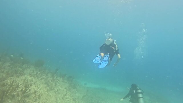 Newbie diving in mexico