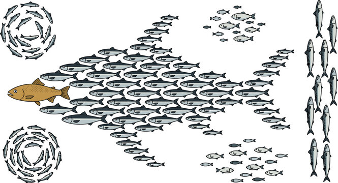 Unity and leadership conceptual vector illustration with school of fish creating big fish shape led by unique leader
