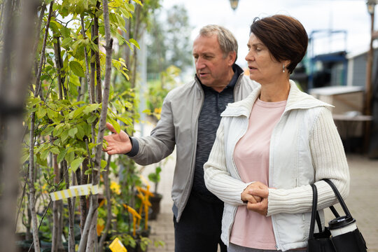 Positive elderly male and female consumers picking potted fruit trees in outdoor garden market