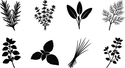 Culinary herbs silhouette icon set featuring rosemary thyme sage dill basil mint chives and oregano vector symbols © mstlipibegum