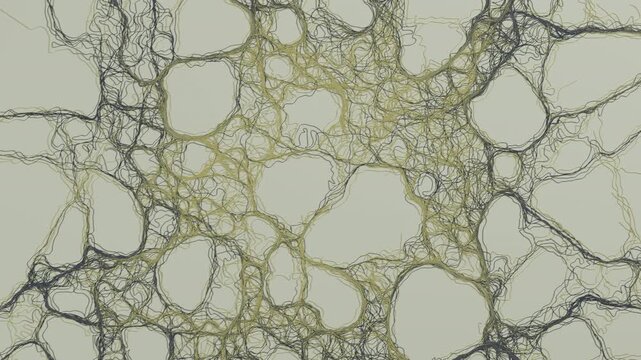 Interwoven Organic Filament Grid