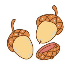 hand drawn vector illustration of an acorn with nuts © Yola