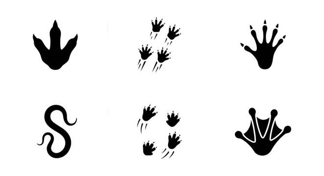 Animal Footprints and Tracks Collection: Dinosaur, Mammal, Reptile, Amphibian Icons