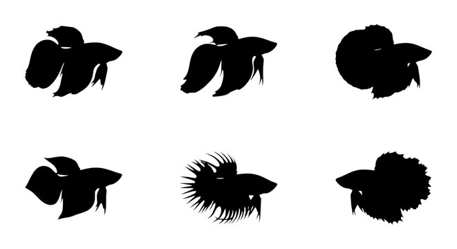 Betta Fish Silhouettes, Siamese Fighting Fish Vector Icons, Aquatic Animal Graphics