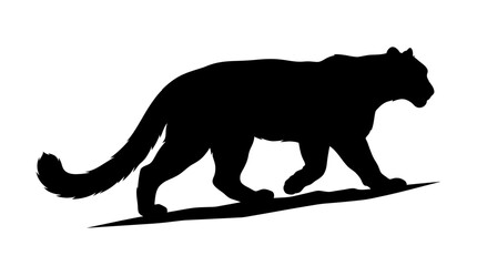 Snow Leopard Silhouette On White Background A Wildlife Illustration © Kobita